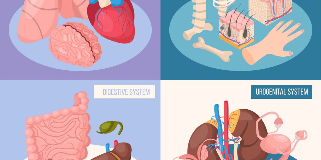 SSUCv3H4sIAAAAAAACA01Ry04DMQz8FSvnFeVx6xUhEFIlBNwQB2/W7FrNxlXsFKpq/x2ntBI3P8Yzk8kx9Kgcw/oYOKWqVtBYcljfdIEGNimMKayvly6ooVUldax3EY1G3576C8nHsc3DOrxTnLIkGQ/BD2vvo3uZd9WoaFi6C+yJMNkUsdBq42rRpS7wDWuklDCTVD/57AKOlOOhqbt8oUR4MvPhq+23E89nZ3seSP5KrAO3MuzFuX1/15z7K2Vu07HgbuJYeE+l9QNpLM1WnTGDlBGzwu3PLfiCxwxRcqSdgZKBfMHAI6n5MWAeoBZxg2yYQA9qNCvoljP0kknBiGyCCbkAq8xkhSPsKXrA8D/4K3jw1LFPBA8vbyfiV8oDOSrD88sjfEmZPbsu2E9LMHTnKP+4dHX2WDGtsG+ssYFl6z+6LMsvUrjA2e8BAAA=